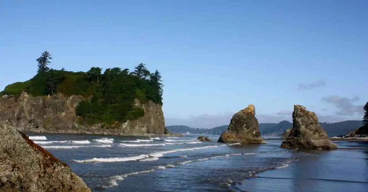 best time to visit olympic national park